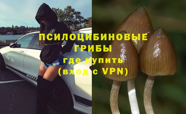 spice Михайлов
